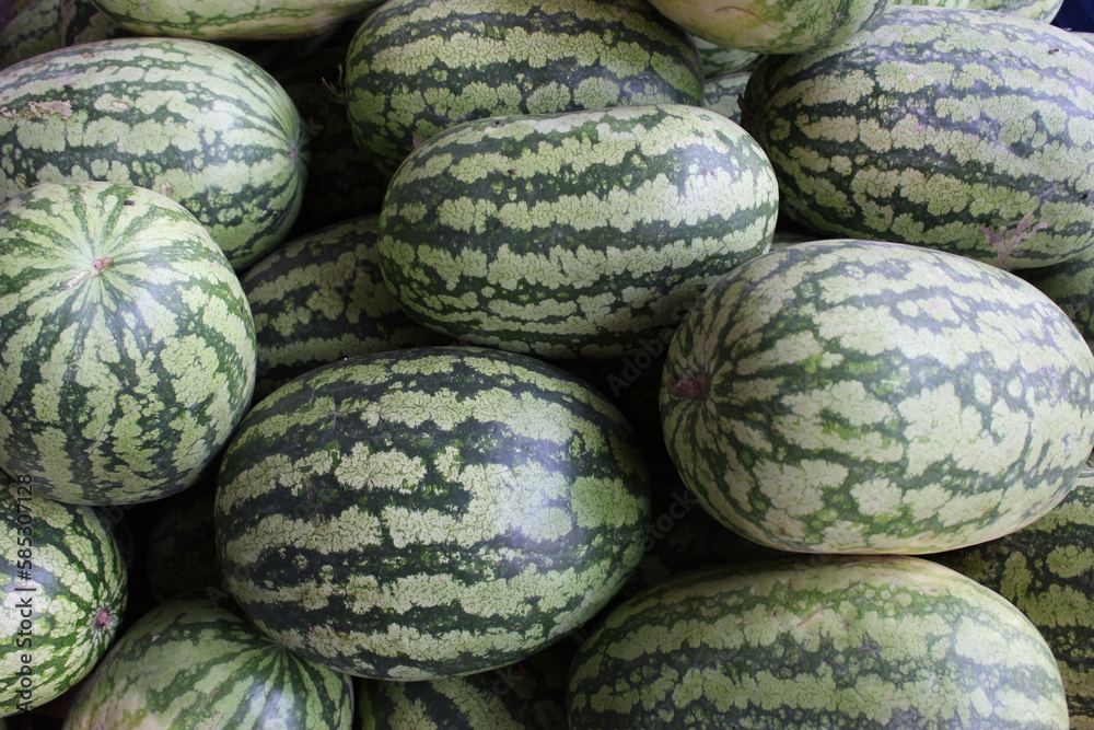 Whole watermelon in the market for sale. Whole watermelon arranged for sale. Abstract watermelon Background.