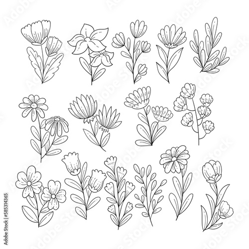 Set of flowers, spring flowers vector sketch illustration.
