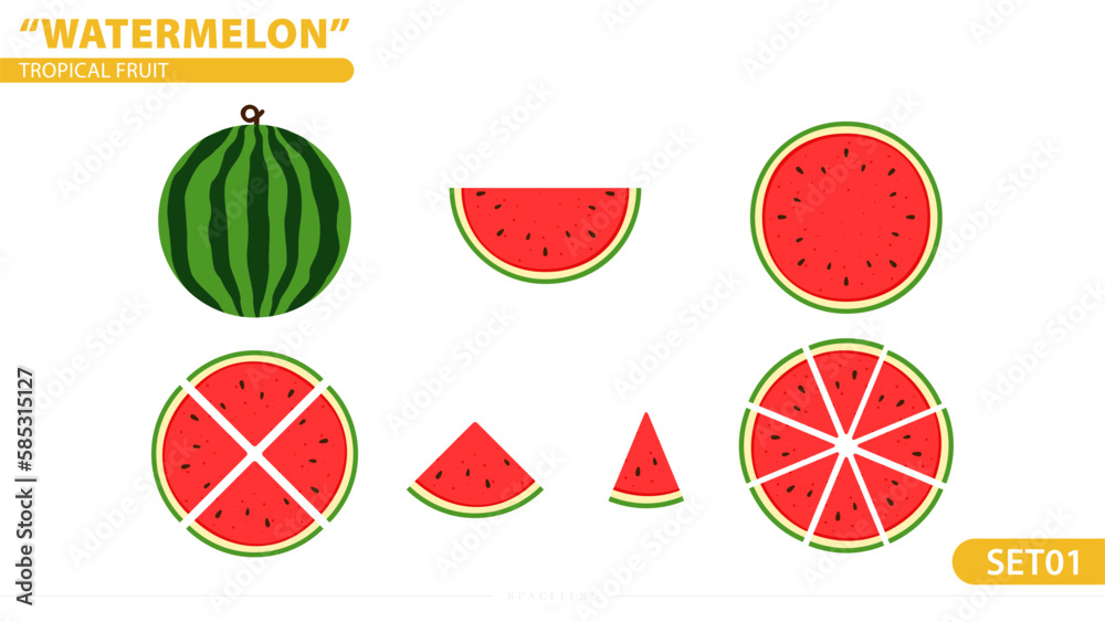 Watermelon Full Half Chopped Piece Fruit Tropical Juicy Summer Set