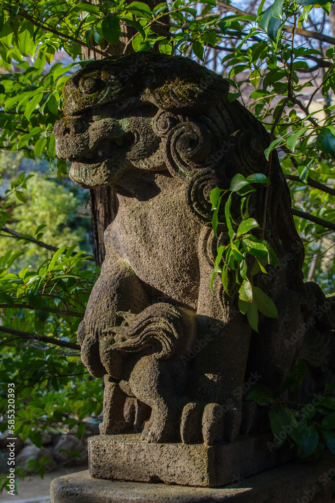 東京赤坂にある氷川神社の狛犬