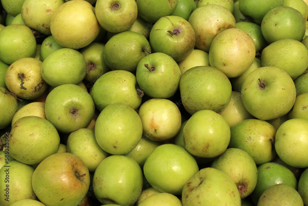 Fresh green plum. Green plum arranged for sale. Green healthy Plum. Fresh green plum. Green plum arranged for sale. Green healthy Plum.