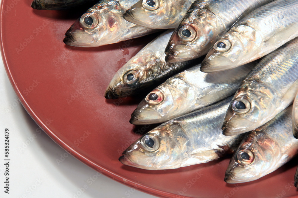 Fresh sardines with lemon and parsley on a wooden board. Fresh Baltic herring Fresh sardines with lemon and parsley on a wooden board. Fresh Baltic herring