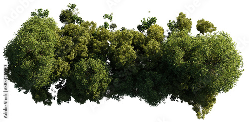 forest from above, lush trees isolated on transparent background 
