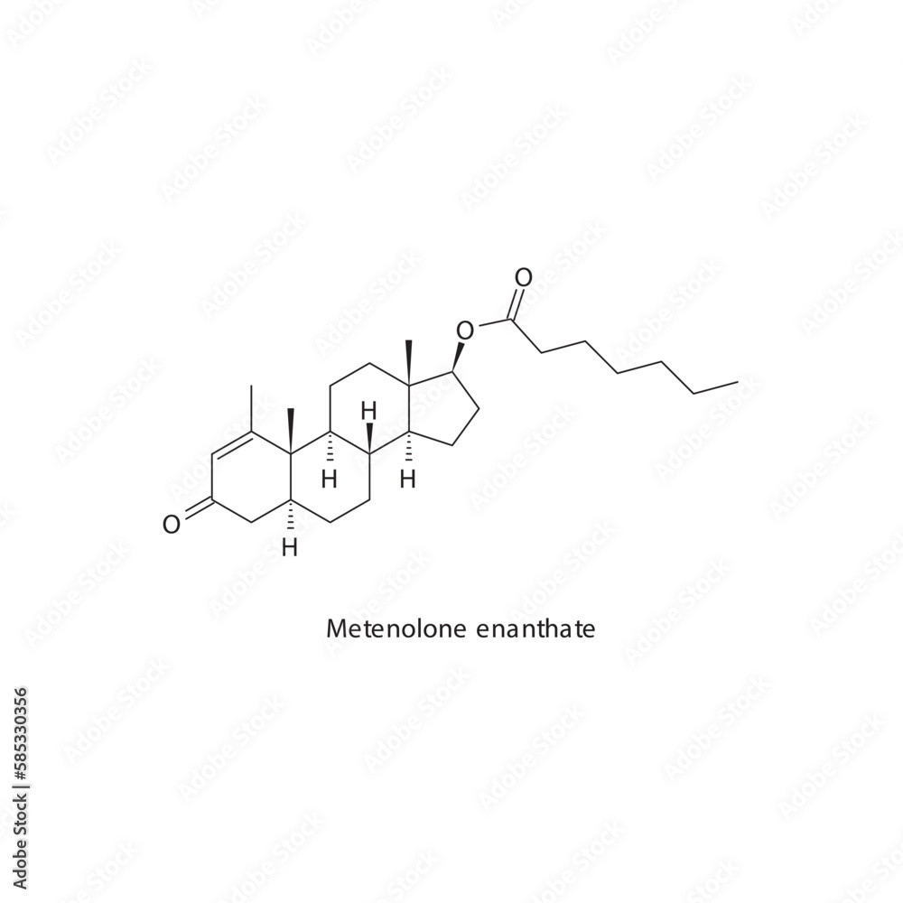Metenolone enanthate flat skeletal molecular structure Anabolic steroid drug used in Adrenal insufficiency treatment. Vector illustration.