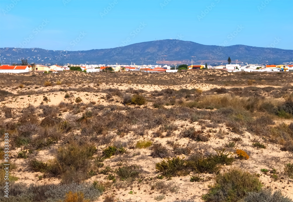 Φωτογραφία Hiking across the beautiful island of Culatra at the Algarve coast of Portugal