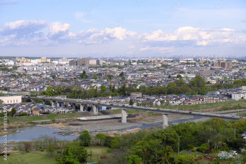 東京都羽村市羽村大橋と都市景観