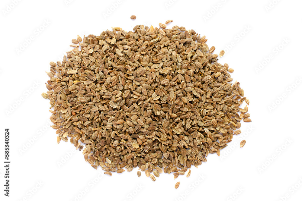 Pile of carrot seeds isolated on white background, top view. Carrot seeds on a white background. Carrot seeds isolated on white background, top view. Heap of carrot seeds on a white background. Pile of carrot seeds isolated on white background, top view. Carrot seeds on a white background. Carrot seeds isolated on white background, top view. Heap of carrot seeds on a white background.