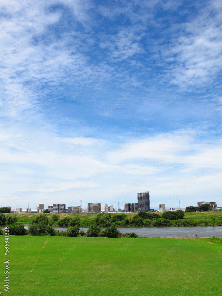 夏の江戸川河川敷と対岸の三郷中央のマンション群風景
