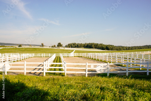 horse riding area at the horse farm