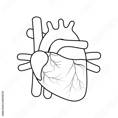 Drawing real human heart anotomy flat icon isolated on white background.Design for logo.Using for clipart.Concept for medical health care.Vector.Illustration.