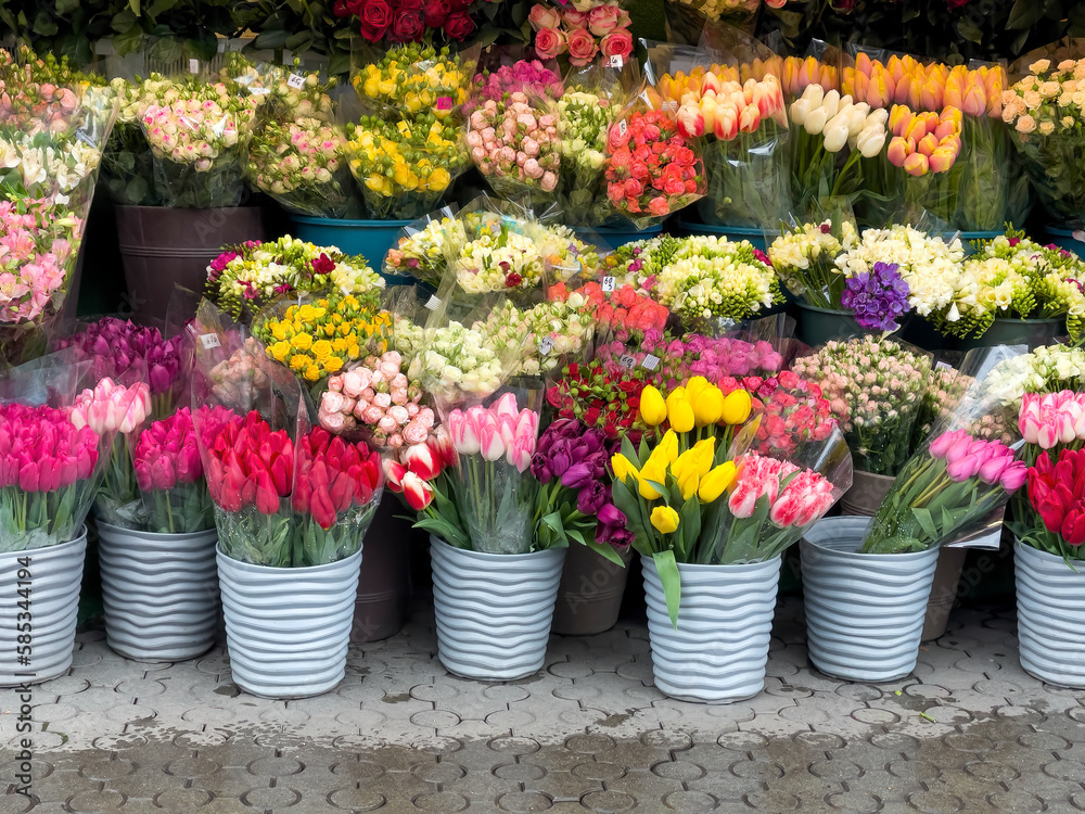 Colorful flowers stand with pots on a sidewalk