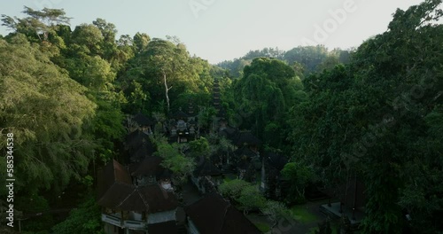 Drone view of Bali. Pura Gunung Lebah Hindu Temple Campuhan Ubud Bali Indonesia photo