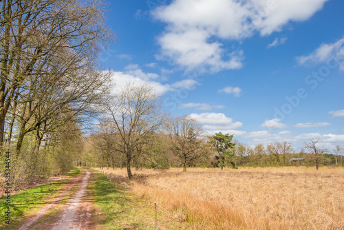 Walking path in nature reserve Duurswouderheide, Netherlands