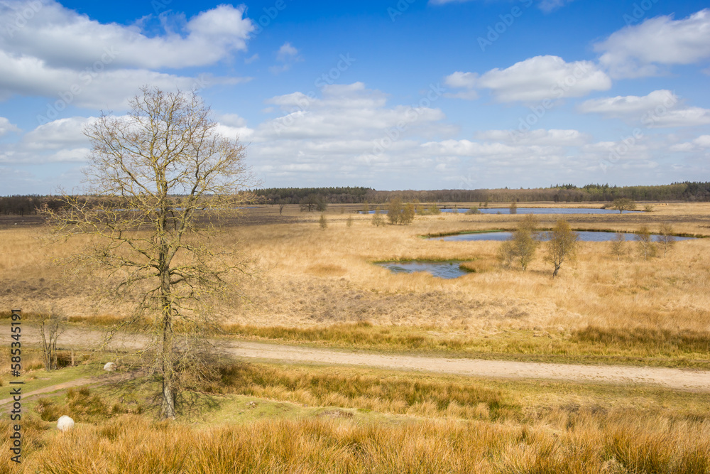 View from the hill in nature reserve Duurswouderheide, Netherlands