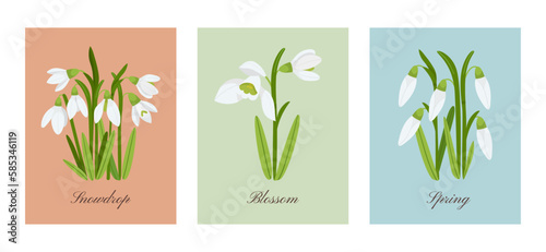 Vertical botanical posters with snowdrops flowers vector set