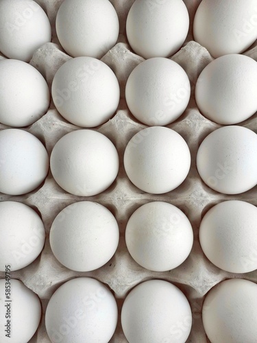 Whole white eggs on egg tray in a row. Set of healthy broiler eggs. Chicken egg is a great source of protein for body building