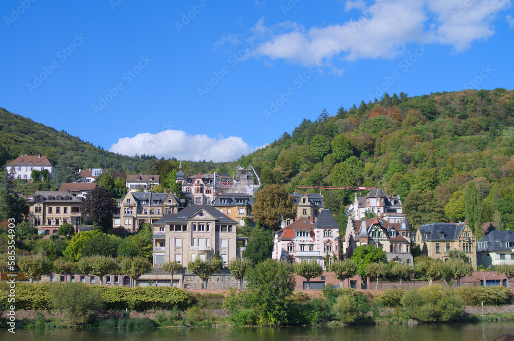 riverscape of villas in Heidelberg private residence area 