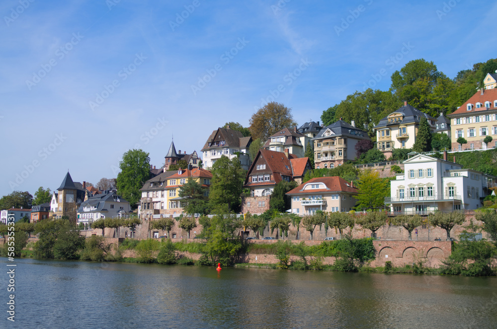riverscape of villas in Heidelberg private residence area 