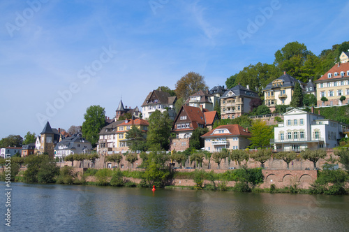 riverscape of villas in Heidelberg private residence area 