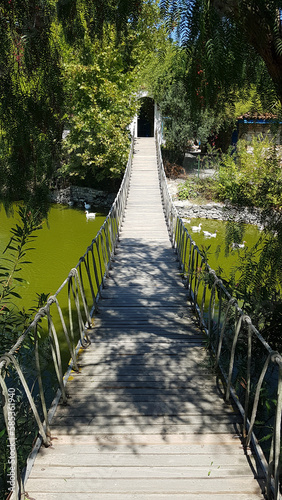 wooden bridge over the lake in the forest