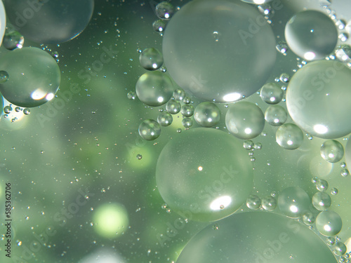 Wallpaper Mural A close up of oil drops in a green and Blurred background Torontodigital.ca