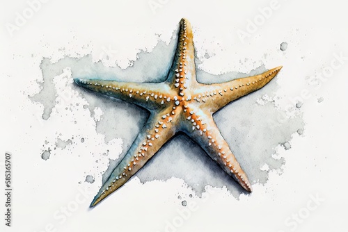 Starfish portrait in watercolor style - Generative AI