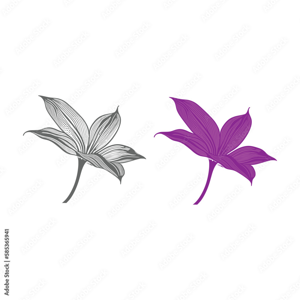 Lily flowers coloring books Make Line art, hand-drawn illustrations.Perfect for creating coloring pages, coloring books, enchanting holiday invitations, and other creative projects. Lily flowers coloring books Make Line art, hand-drawn illustrations.Perfect for creating coloring pages, coloring books, enchanting holiday invitations, and other creative projects.