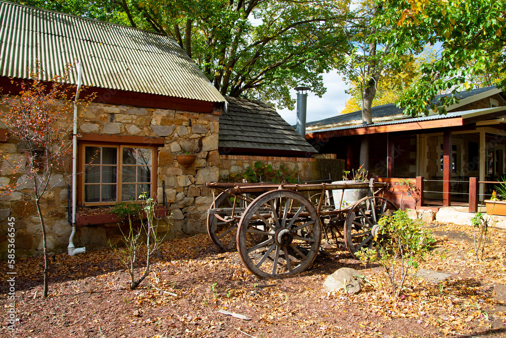 Obraz premium Autumn in Hahndorf - South Australia