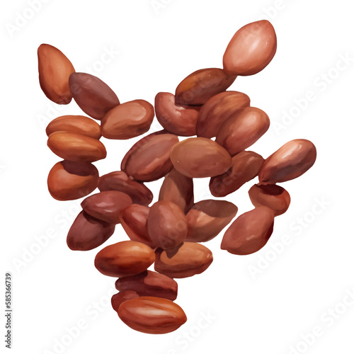 Pile of Cocoa Beans Isolated Hand Drawn Painting Illustration