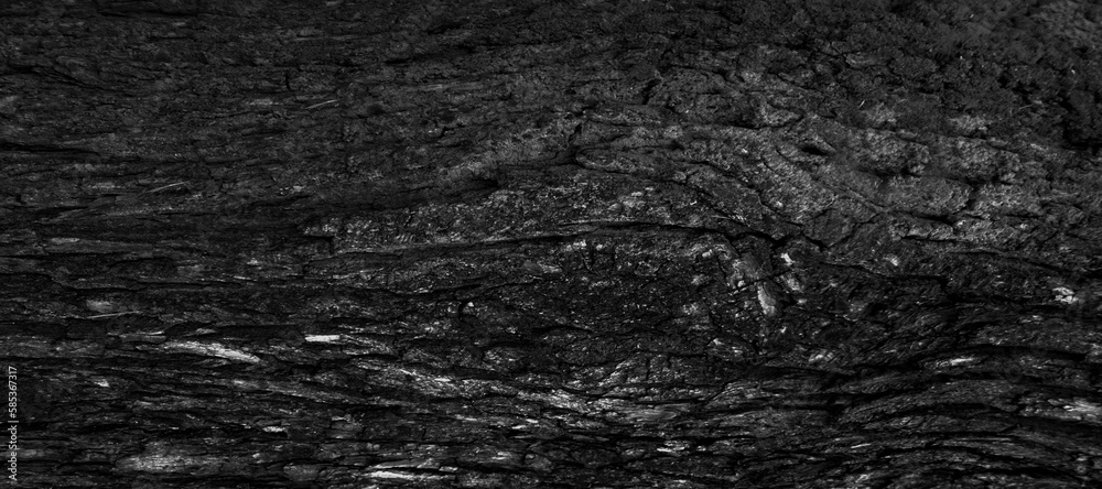 Naklejka premium Czarna kora drewno szerokie tło