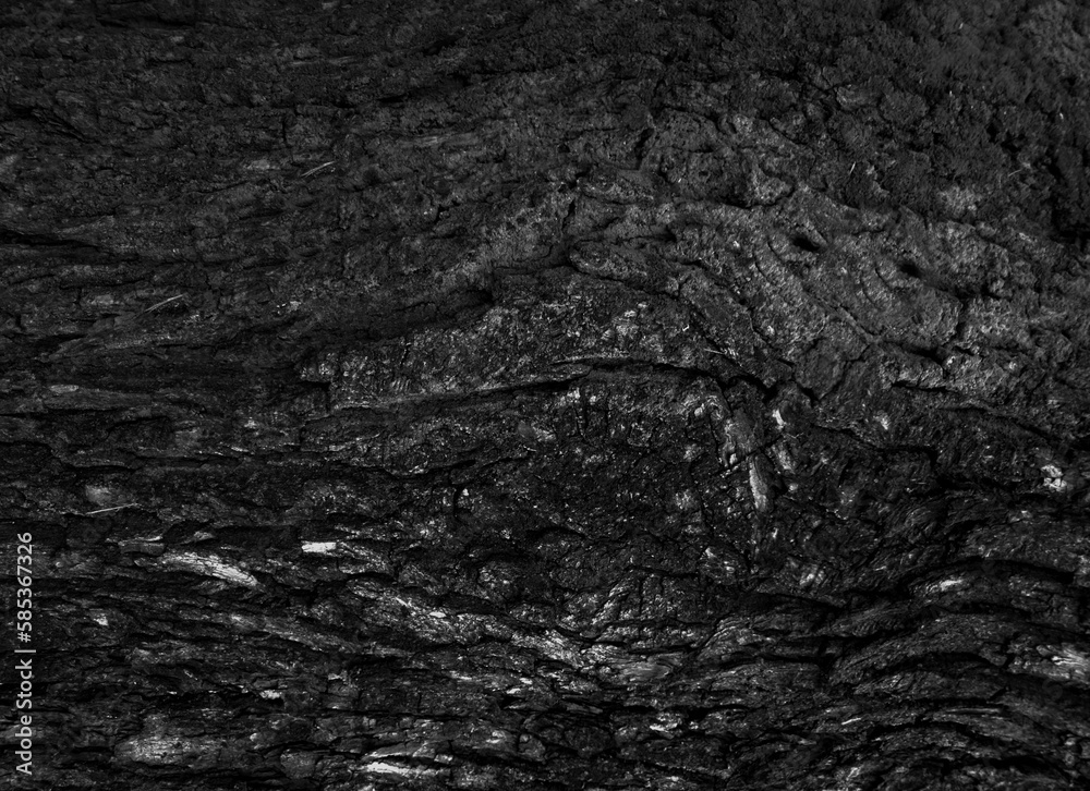 Obraz premium Czarne drewno kora tło