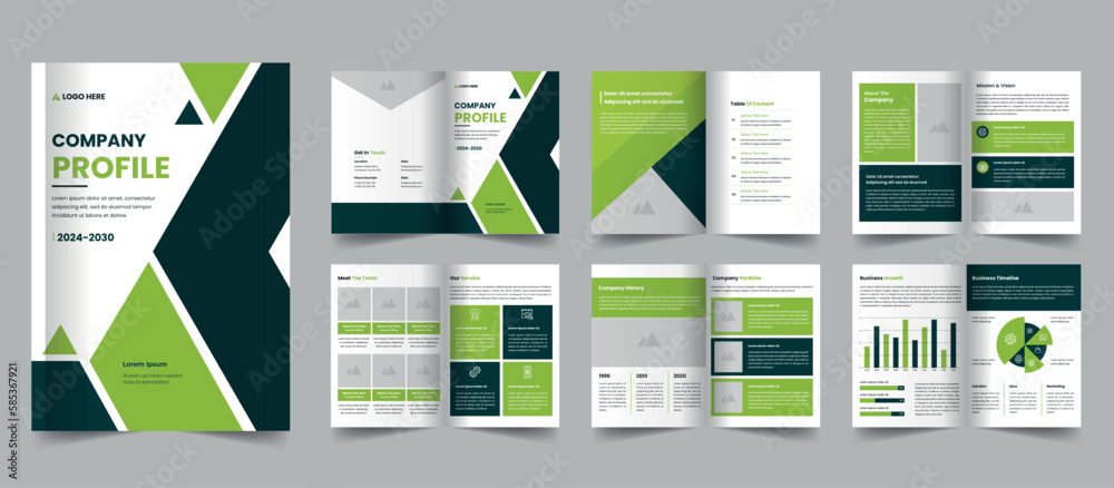 Company profile template, brochure layout, annual report Company profile template, brochure layout, annual report