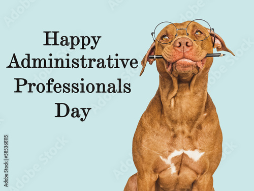 Administrative Professionals Day. Beautiful card with a cute puppy and a congratulatory inscription. Closeup. Congratulations for loved ones, relatives, friends and colleagues