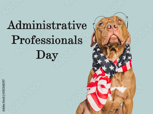 Administrative Professionals Day. Beautiful card with a cute puppy and a congratulatory inscription. Closeup. Congratulations for loved ones, relatives, friends and colleagues