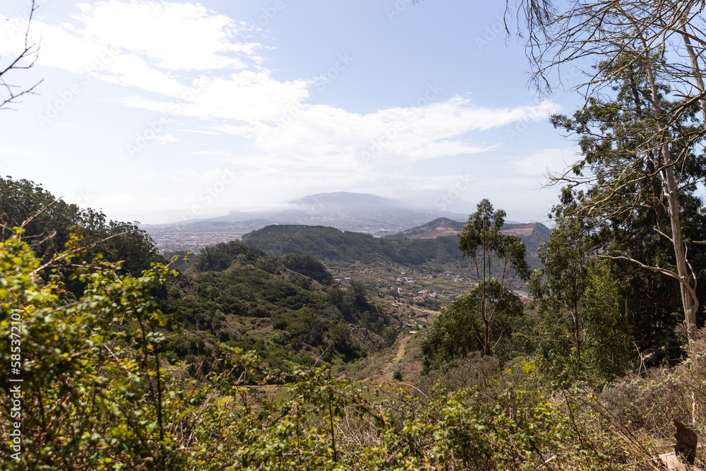Fototapeta premium Blick zum Teide vom Rand des Anaga Gebirges