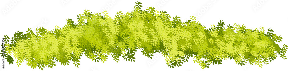 Obraz premium bush watercolor