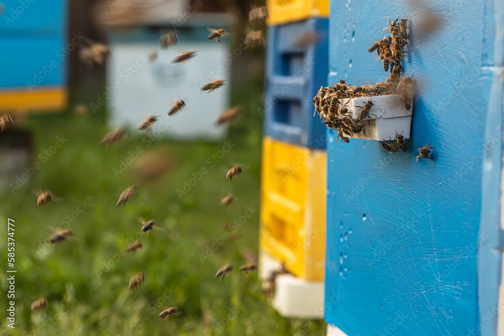 incredible depiction of the life of bees in an apiary, showing their labor and dedication to produce honey in a wooden hive incredible depiction of the life of bees in an apiary, showing their labor and dedication to produce honey in a wooden hive