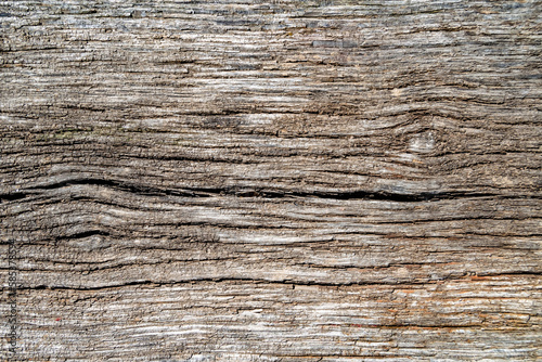 Beautiful wooden fracture old oak  natural texture close up