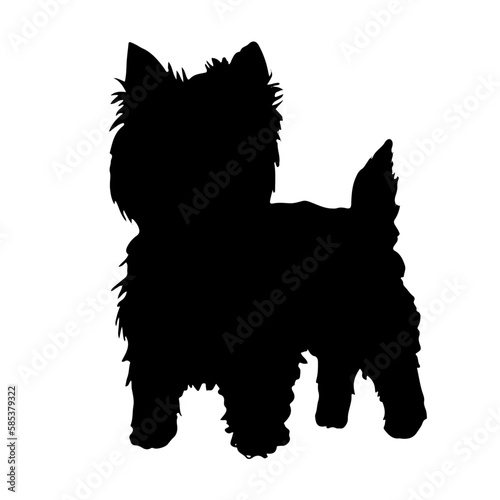 可愛い犬のシルエット ウェスティ