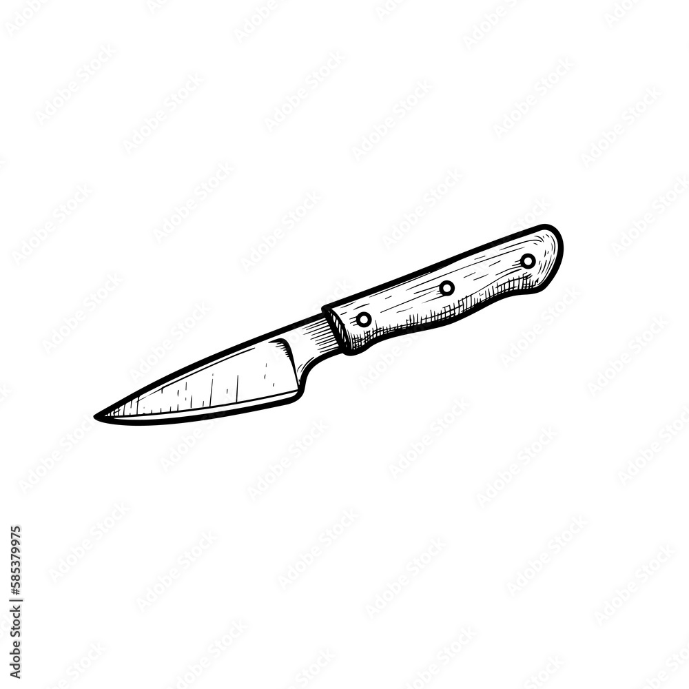 Paring knife with wooden handle. Butcher and kitchen utensil. Chef's tool. Hand drawn sketch style drawing. Vector illustration. Paring knife with wooden handle. Butcher and kitchen utensil. Chef's tool. Hand drawn sketch style drawing. Vector illustration.