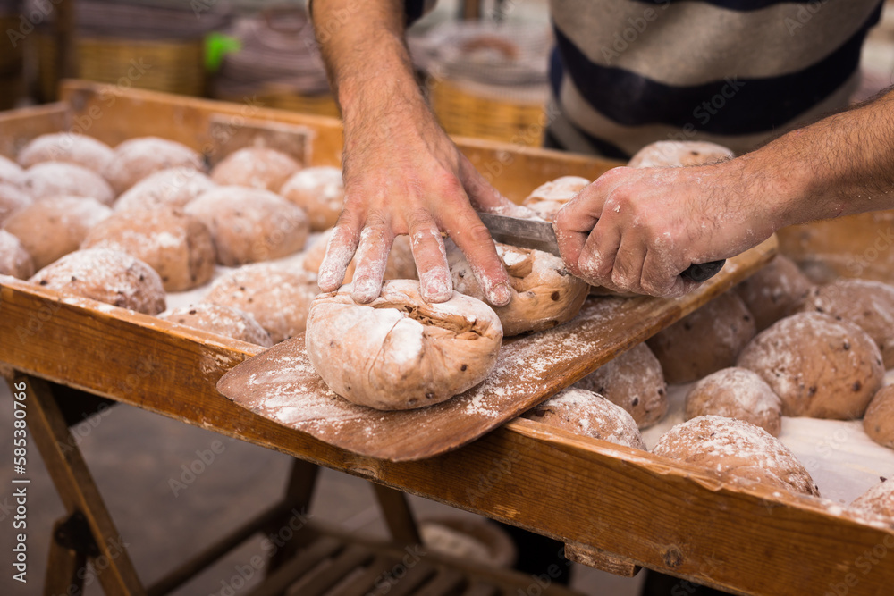 wheat dough shaped into loaves arranged in rows on the table before baking