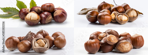nut, food, hazelnut, brown, nuts, isolated, hazel, healthy, fruit, hazelnuts, filbert, chestnut, closeup, shell, snack, nutshell, autumn, organic, ingredient, white, heap, nature, seed, natural, chest