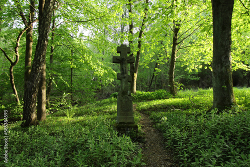 Old cemetery in Swierzowa Ruska - former and abandoned village in Low Beskids, Poland photo