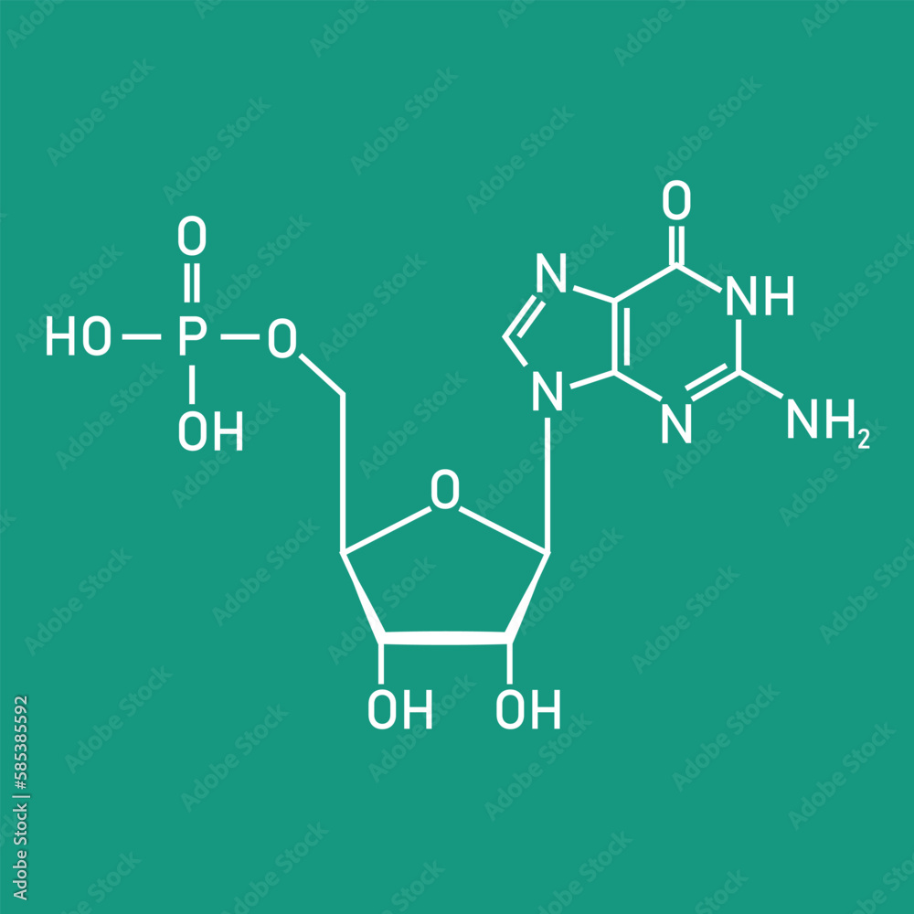 Chemical structure of DNA nucleotide. Three parts of a nucleotide