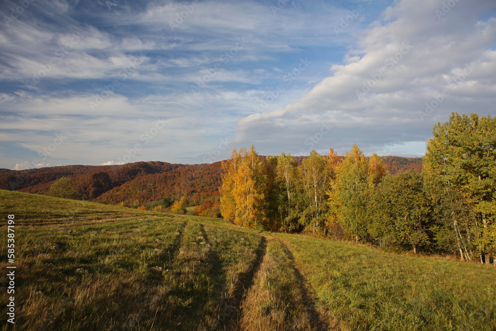 Landscape of Krywe - former and abandoned village in Bieszczady Mountains, Poland