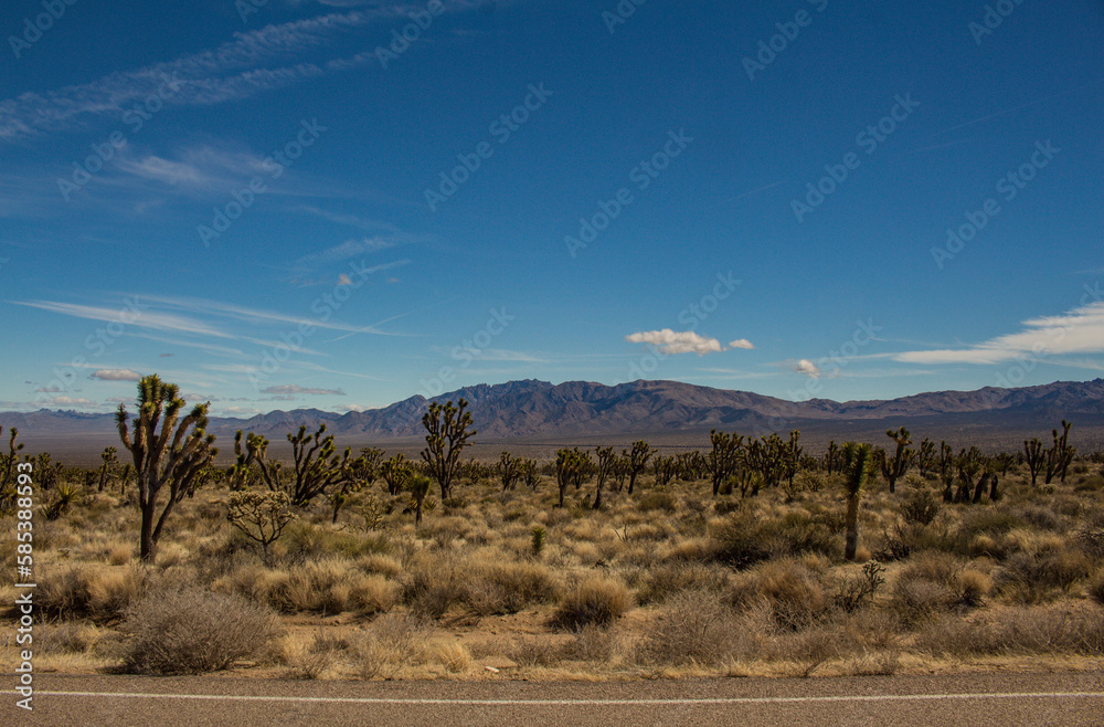 Wüste an den Kelso Dunes in der Mojave Wüste - obrazy, fototapety, plakaty 