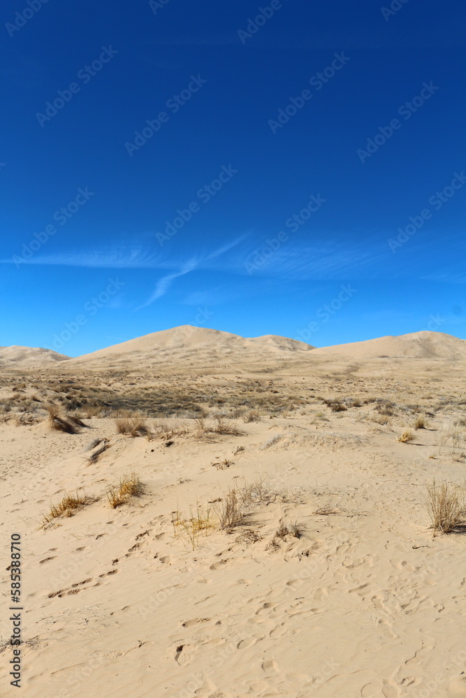 Wüste an den Kelso Dunes in der Mojave Wüste Wüste an den Kelso Dunes in der Mojave Wüste