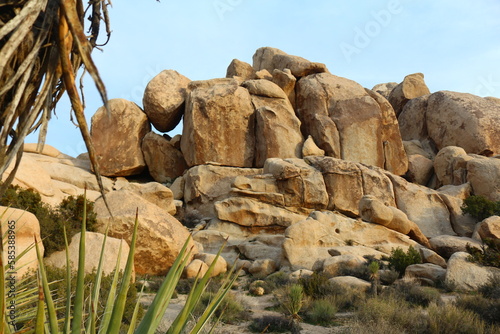 Принти на полотні Große Granitfelsen im Joshua Tree Nationalpark