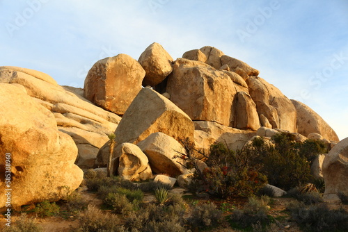 Принти на полотні Felslandschaft im Joshua Tree Nationalpark