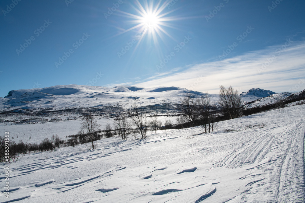 Einsame Winterlandschaft mit Langlaufloipe im Gegenlicht 